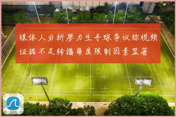 媒体人分析廖力生手球争议称视频证据不足转播角度限制因素显著